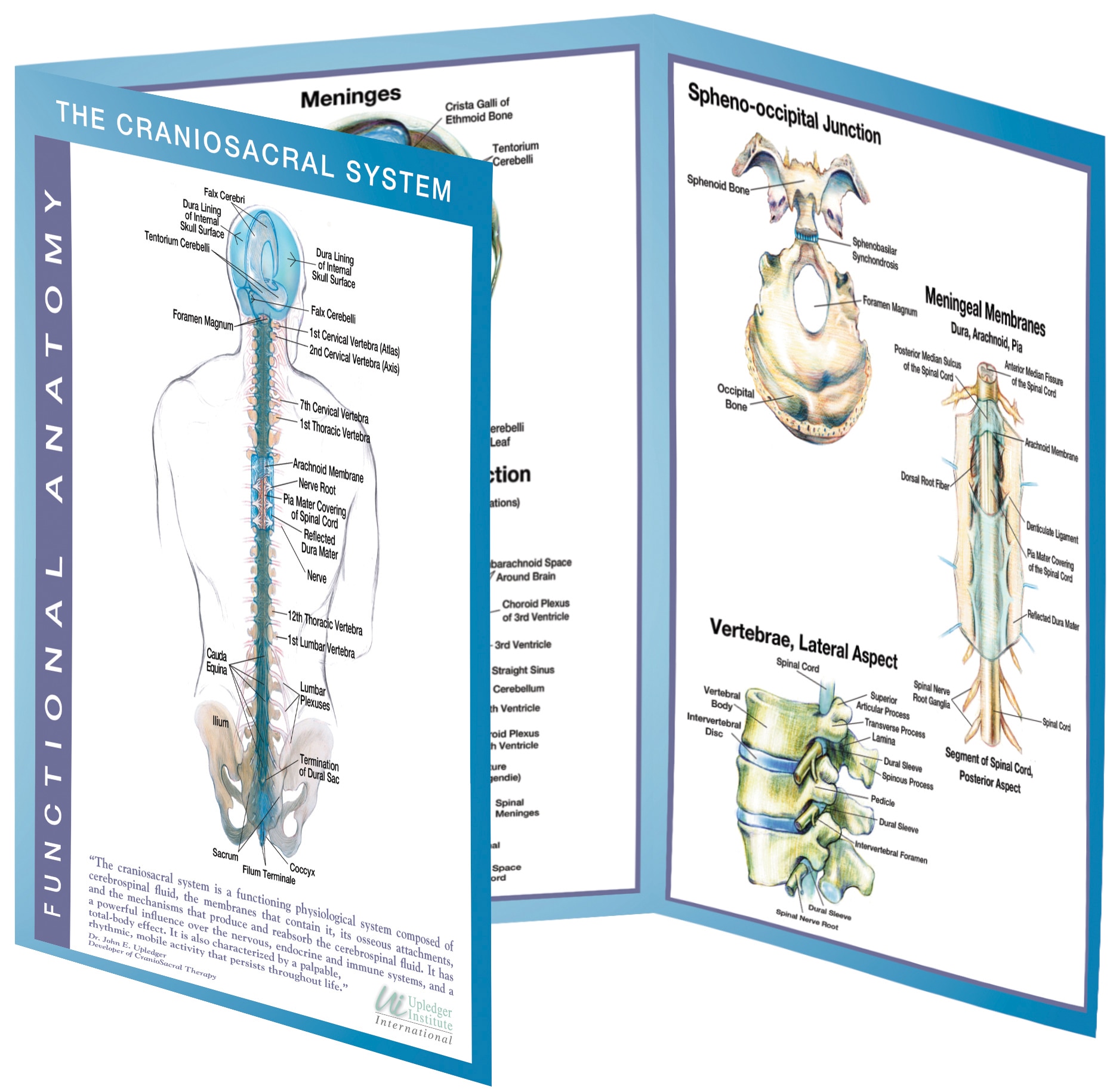 3冊セット：Sacro Occipital、Dr.ジョーンズ、Cranial Client Education Kit: CranioSacral Therapy