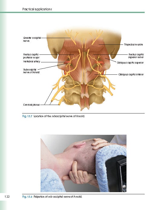 健康・医学 A manual of cranial technique Manual Therapy for the Cranial Nerves