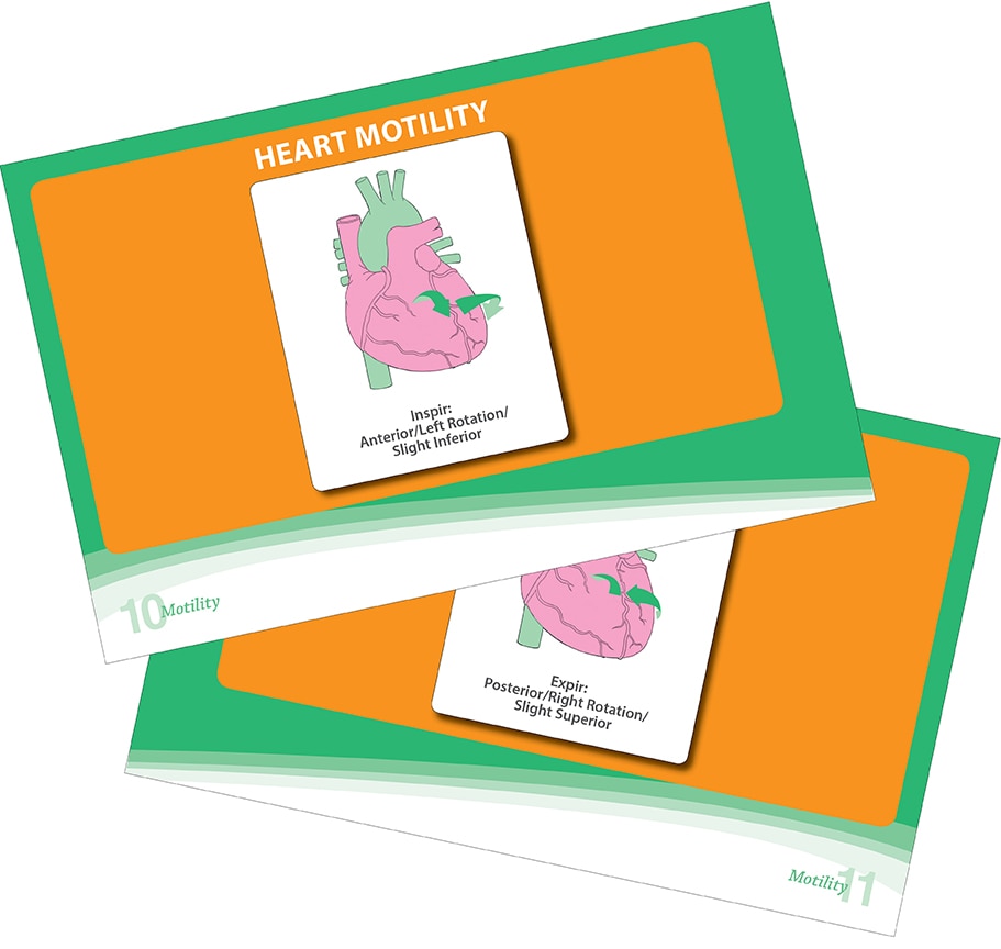 Visceral Manipulation Motility Testing Pocket Guide