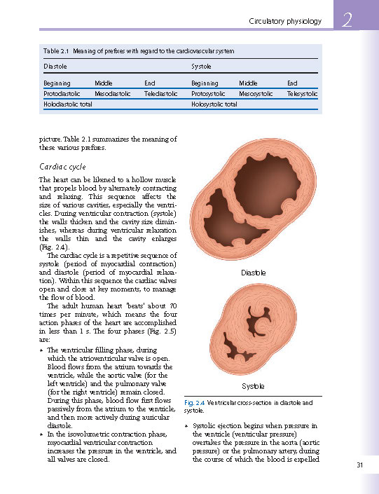 Visceral Vascular Manipulations